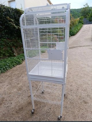 Jaula grande para loro o cotorra