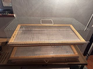 Jaula para codornices de madera y alambre