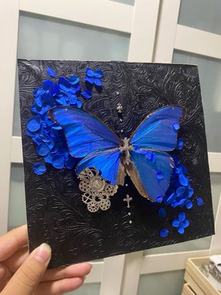 Mariposa Morpho Menelaus en marco decorativo