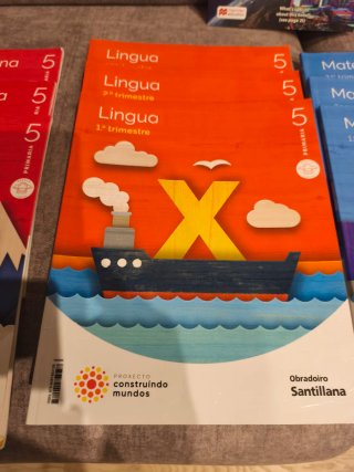 Lote de libros de 5 de Primaria.