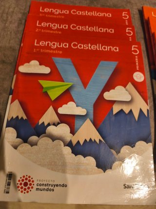 Lote de libros de 5 de Primaria.