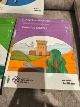 Lote de libros de 5 de Primaria.