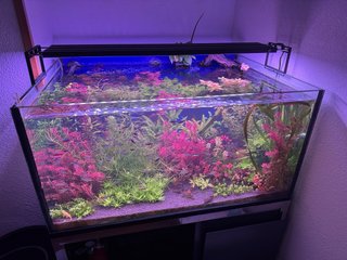 Pantalla LED Acuario WeekAqua L900Pro