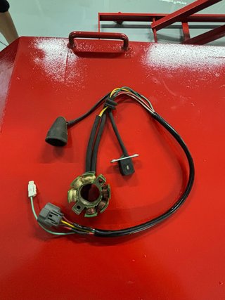Encendido Suzuki RM-Z 250