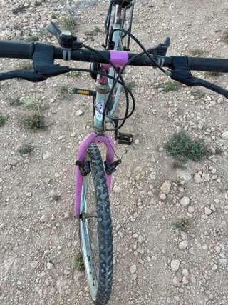 Bicicleta de paseo
