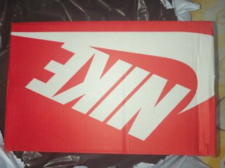 Zapatillas Nike TN Air Negras y Blancas