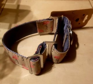 Collar Galgo Flamencos 4cm x 21-30cm