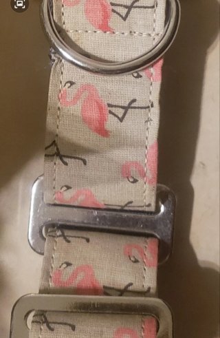 Collar Galgo Flamencos 4cm x 21-30cm