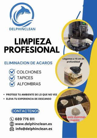 Limpieza de sofas, colchones y tapiz de coches
