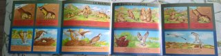 Cuento del las cuatro estaciones