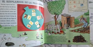 Cuento del las cuatro estaciones