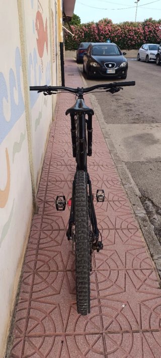 Bicicleta de Montaña de 29 carbono Specialized