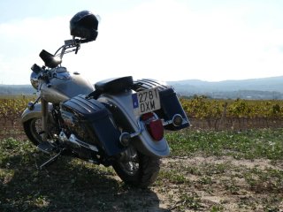 Yamaha Dragstar XVS 650 2006