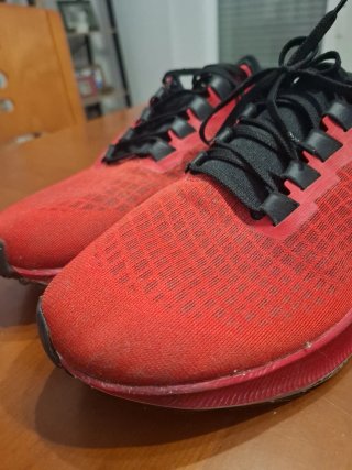 Zapatillas Nike Zoom Pegasus Rojas