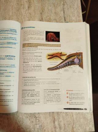 Biología y Geología 1º ESO. Libro del estudiant...