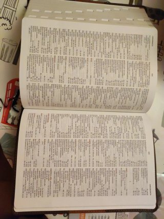 RVR 1960 Biblia de Estudio Holman, Chocolate/te...