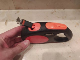2 Correas Flexi para Perro