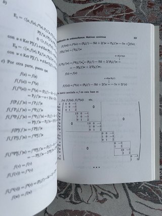 Problemas resueltos de álgebra. Tomo 2