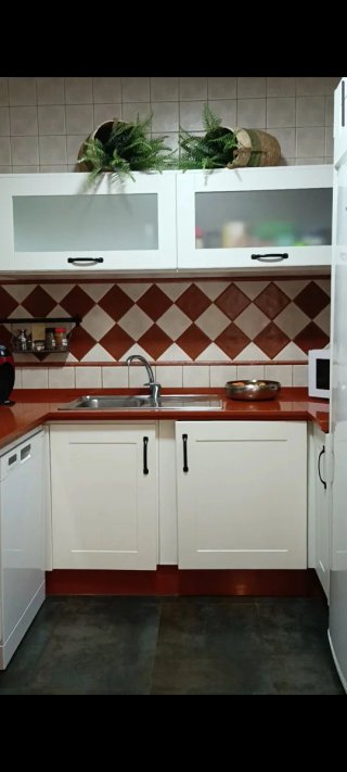 Cocina Silestone y Electrodomésticos