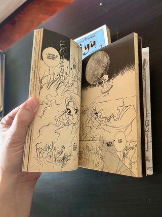 Vendo i primi 4 volumi Del Manga MIYU