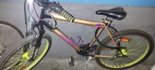 Bicicleta Montaña Dorada y Morada