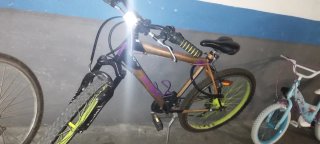 Bicicleta Montaña Dorada y Morada
