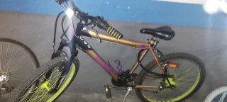 Bicicleta Montaña Dorada y Morada