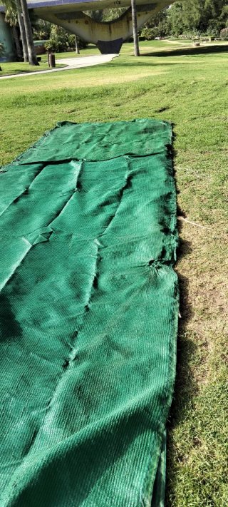Tela de rafia verde