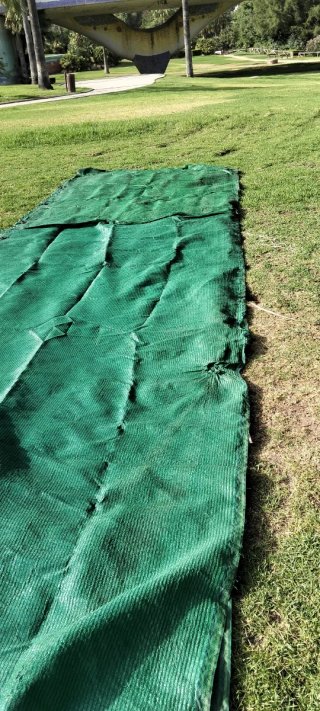 Tela de rafia verde