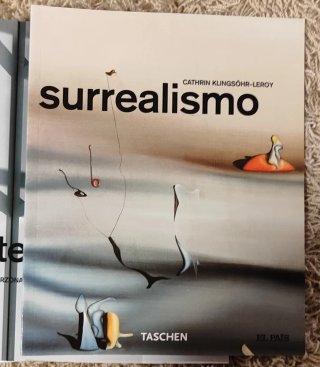 Colección 24 libros de arte Taschen