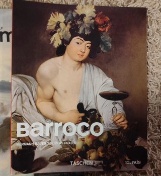 Colección 24 libros de arte Taschen