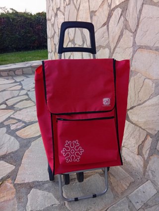 Carro de la compra rojo