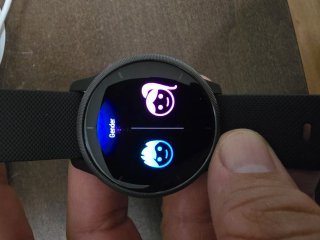 Garmin Venus 2 Negro