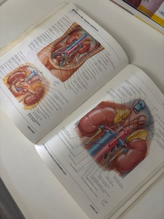 Atlas de Anatomia Humana - 2 Edicion