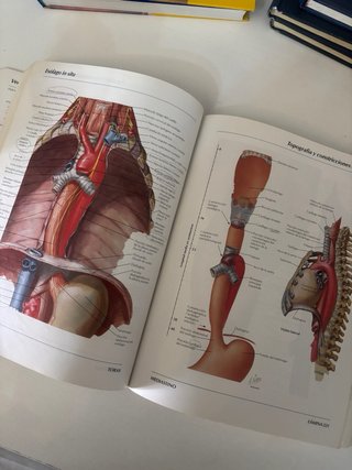 Atlas de Anatomia Humana - 2 Edicion