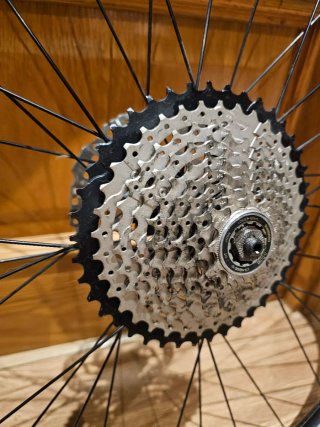 Rueda MTB Schwalbe Rapid Rob 29