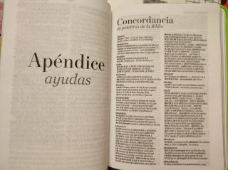 Biblia Reina Valera 1960 letra grande