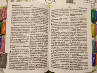 Biblia Reina Valera 1960 letra grande