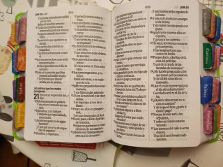 Biblia Reina Valera 1960 letra grande