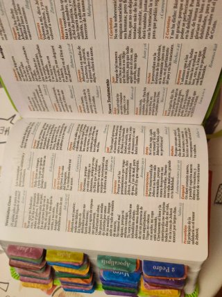 Biblia Reina Valera 1960 letra grande