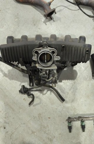 Despiece BMW M52