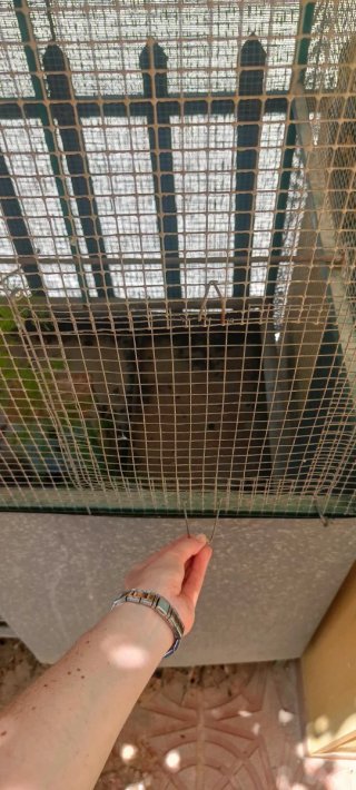 Jaula grande para pájaros