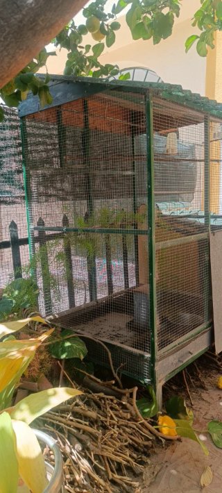 Jaula grande para pájaros