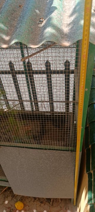 Jaula grande para pájaros