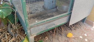 Jaula grande para pájaros