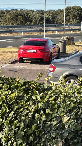 Audi RS5 2009