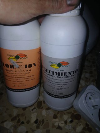 Foco sodio600W,extractor,temporizador,mazetas y ab