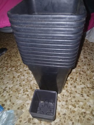Foco sodio600W,extractor,temporizador,mazetas y ab