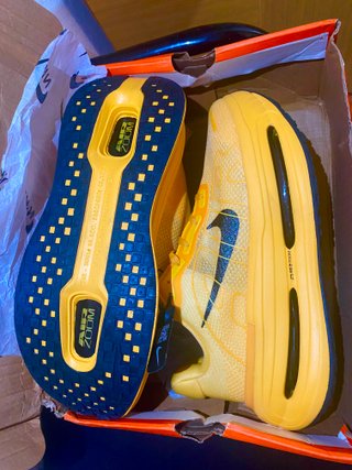 Nike Vomero Premium Edición Especial Talla 44