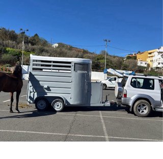 Remolque caballos